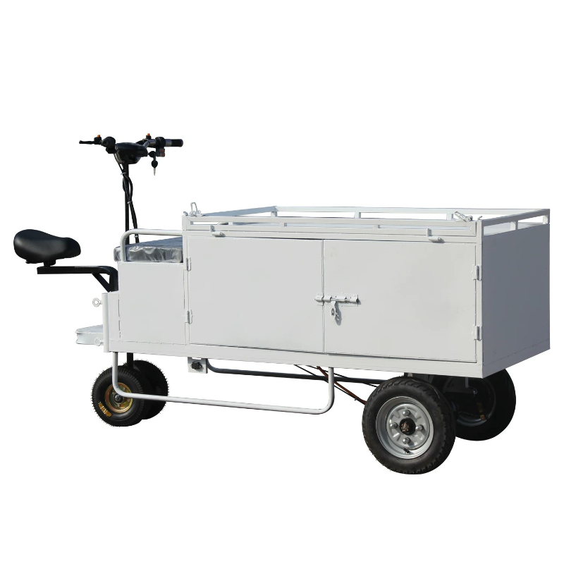 Electric tricycles for street  - Snacks Food Ready To Eat review and price
