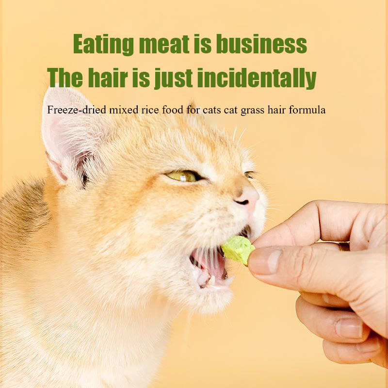 Cat grass freeze-dried meat sq - Snacks Food Ready To Eat review and price